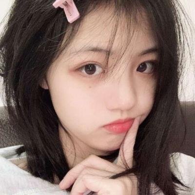 猫咪后院之家